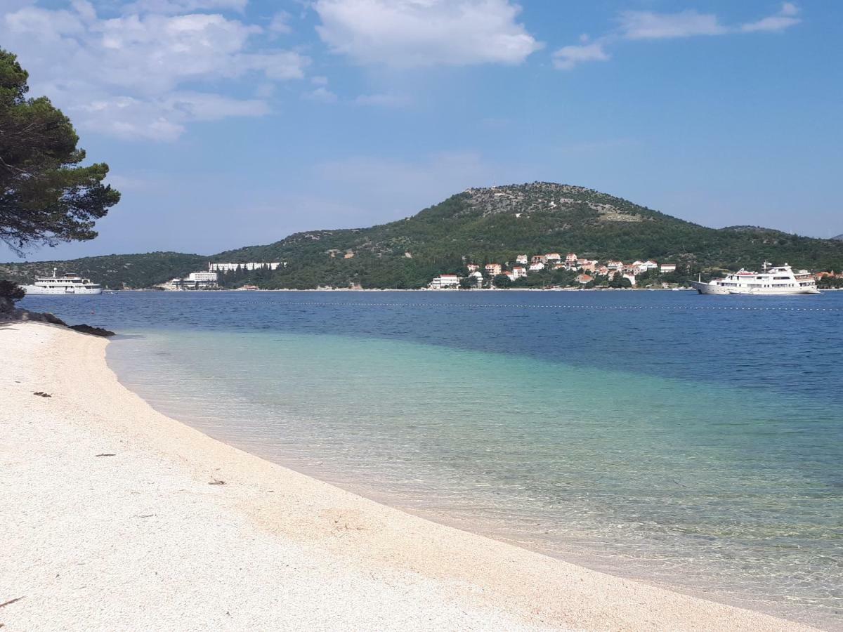 Apartments Sisevic - Comfort Apartments With Balconies And Sea View Slano Exterior foto